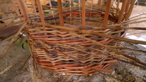 The beginnings of a woven willow basket