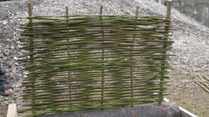 Weaving a willow hurdle