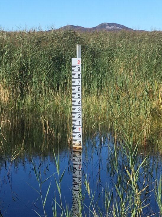 water level monitoring post
