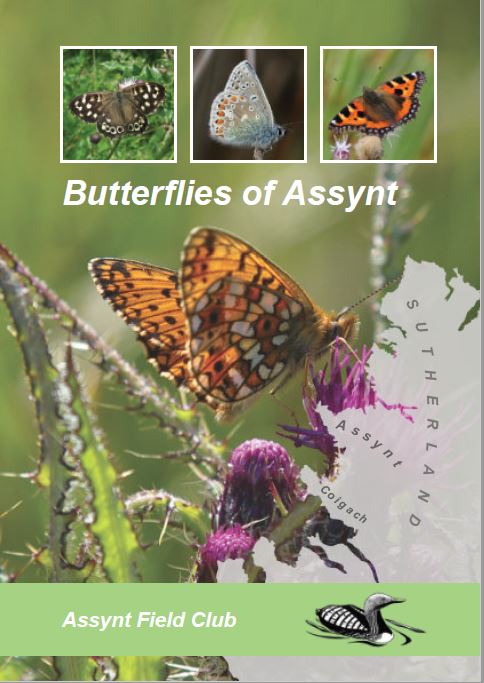 cover of Butterflies of Assynt