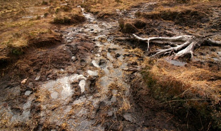 The cumulative impact of all our footprints on the way to Suilven. Photo © Chris Goodman