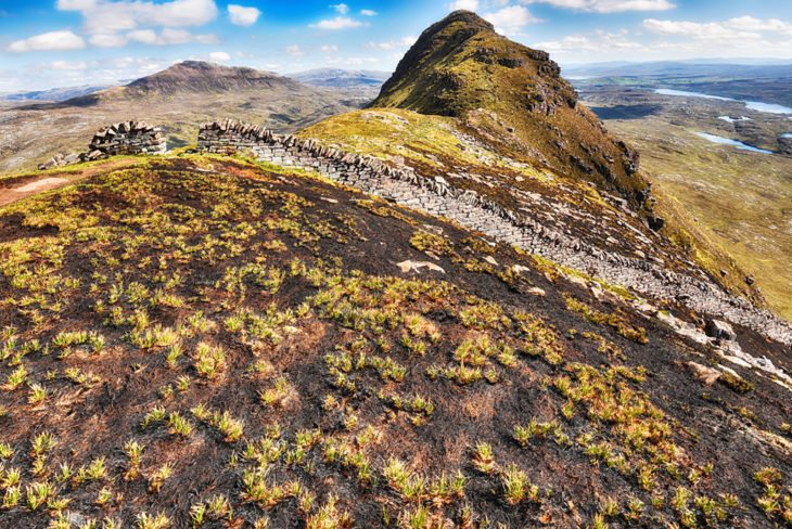 Green shoots appear amongst the incinerated vegetation on Suilven. Photo © Chris Puddephatt