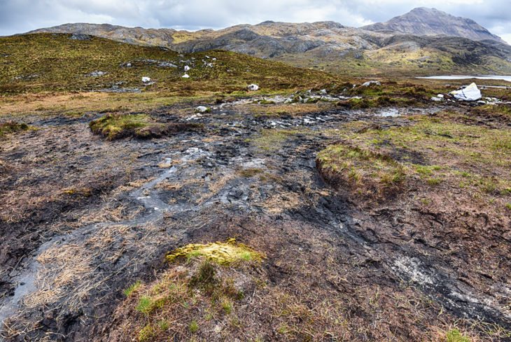 Up to 30m wide the path was a wide swathe of trampled peat in places. Photo © Chris Puddephatt.