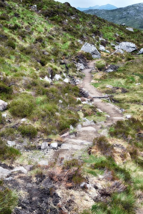 A section of the finished path. Photo © Chris Puddephatt.