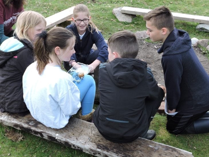 Trying to guess the opposite words of nature objects. © Vickii Campen/Scottish Wildlife Trust