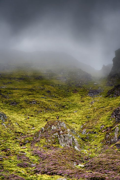 The team working in the misty gully. Photo © Chris Puddephatt.